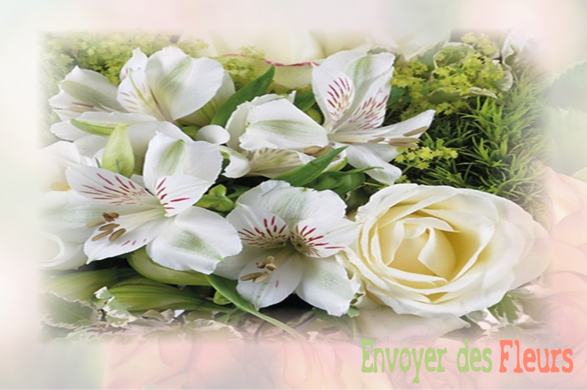 envoyer des fleurs à à DOUDEAUVILLE-EN-VEXIN